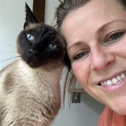 Kattenpension Youka, Ekeren openingstijden