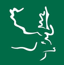 Damhert NV, Heusden-Zolder openingstijden