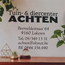 Achten Renaat, Lokeren openingstijden