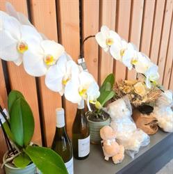 Le Versailles Fleurs, Charleroi openingstijden