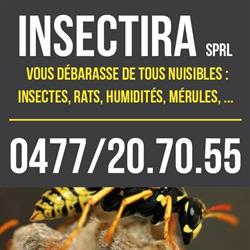 Insectira, Moxhe openingstijden
