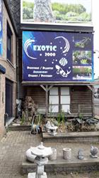 Exotic 2000 SA, Beyne-Heusay openingstijden