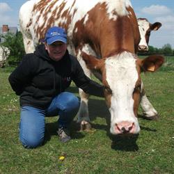 Animal Sans Toit, Grâce-Hollogne openingstijden