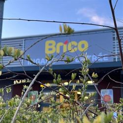 Brico Ronse, openingstijden