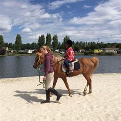 Diepvennen, Londerzeel openingstijden