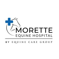Dierenkliniek de Morette, Asse openingstijden