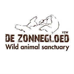 De Zonnegloed, Oostvleteren openingstijden