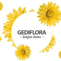 Gediflora Bvba, Oostnieuwkerke openingstijden