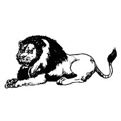 Le Lion Droguerie, Brussel openingstijden