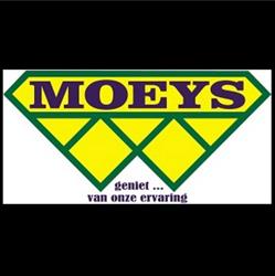 Moeys Vp nv, Bertem openingstijden
