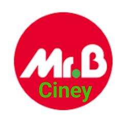 Mr.bricolage Ciney, openingstijden