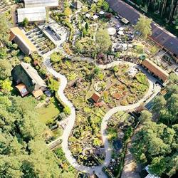 Ollevier & C° Tuincentrum, Ham openingstijden