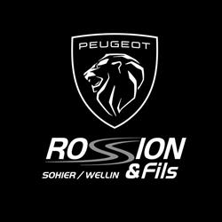Rossion & Fils, Wellin openingstijden