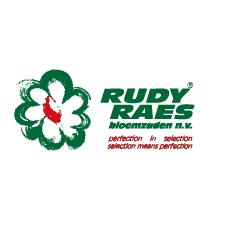 Raes Rudy nv, Destelbergen openingstijden