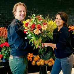 Artistic bvba, Oudenaarde openingstijden