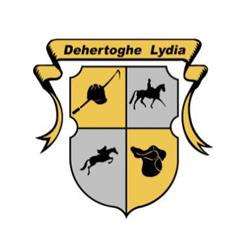 Dehertoghe nv, Heverlee openingstijden