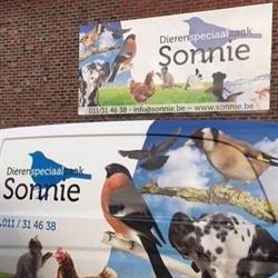 Sonnie, Wellen openingstijden