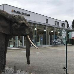 Tegeldecor, Hasselt openingstijden