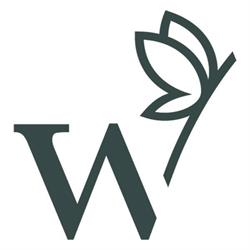 Verandas Willems Ronse, openingstijden