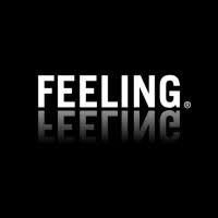 FEELING Eclairagistes SRL, Bergen openingstijden