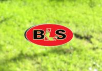 BLS srl, Charleroi openingstijden