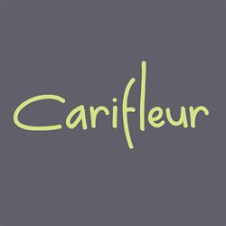 Carifleur, Dison openingstijden
