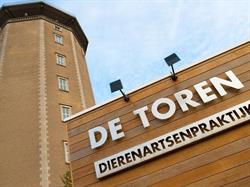 Dierenartsenpraktijk De Toren BVBA, Torhout openingstijden
