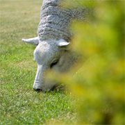 Hildegarden, Gierle openingstijden