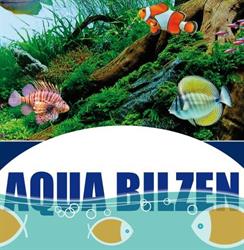 Aqua bilzen, Bilzen openingstijden