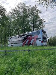 De Meibloem NV, Tielt openingstijden