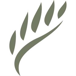 Fevery, Brugge openingstijden