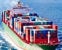 Omnifreight bvba, Antwerpen openingstijden