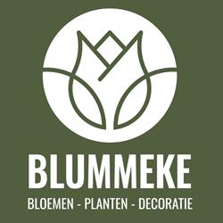 't Blummeke-Fotosynthese BVBA, Beringen openingstijden