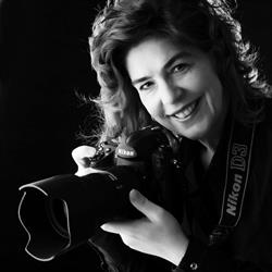 Fotografie Hoebeke Sammy, Zottegem openingstijden