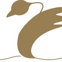 't Zwaantje bv, Sint-Niklaas openingstijden