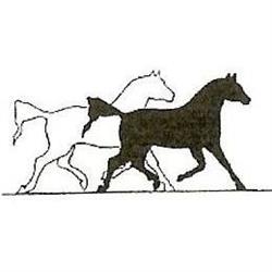Top Horse bvba, Menen openingstijden