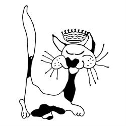 Protection et Stérilisation des Chats Libres ASBL, Etterbeek openingstijden