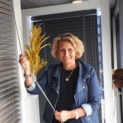 Van Kerrebrouck Katrien Woontrends, Beernem openingstijden