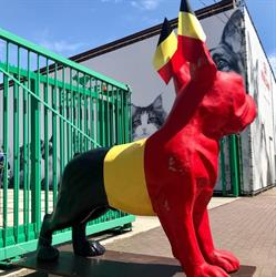 Dierenspeciaalzaak Boutsen, Maasmechelen openingstijden