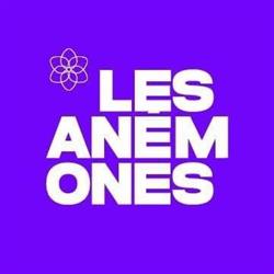 Les Anémones ASBL, Graven openingstijden