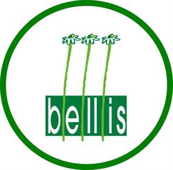 Bellis, Moeskroen openingstijden