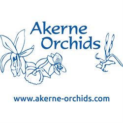 Akerne Orchides, Schoten openingstijden