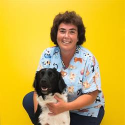 Anequi bvba Dierenarts Anne Boone, Deinze openingstijden