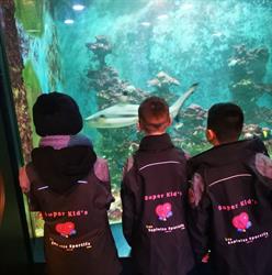 Association des Exploits Sportifs ASBL, Oudergem openingstijden