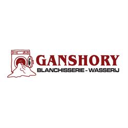 Blanchisserie et nettoyage à sec Ganshory sa, Ganshoren openingstijden
