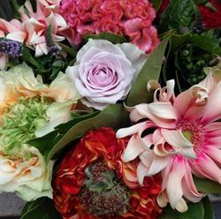 Bloemen Anthos bvba, Neeroeteren openingstijden