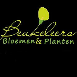 Bloemen Beukeleers Kristel, Aartselaar openingstijden
