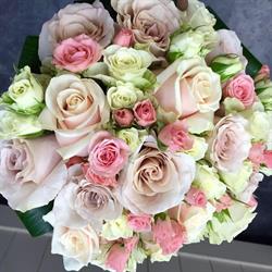 Bloemen Driesen, Antwerpen openingstijden
