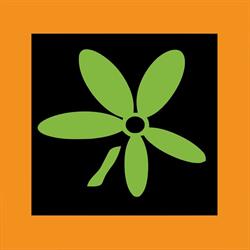 Bloemen fiori, Stokkem openingstijden