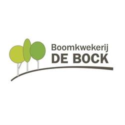Boomkwekerij De Bock, Nederename openingstijden